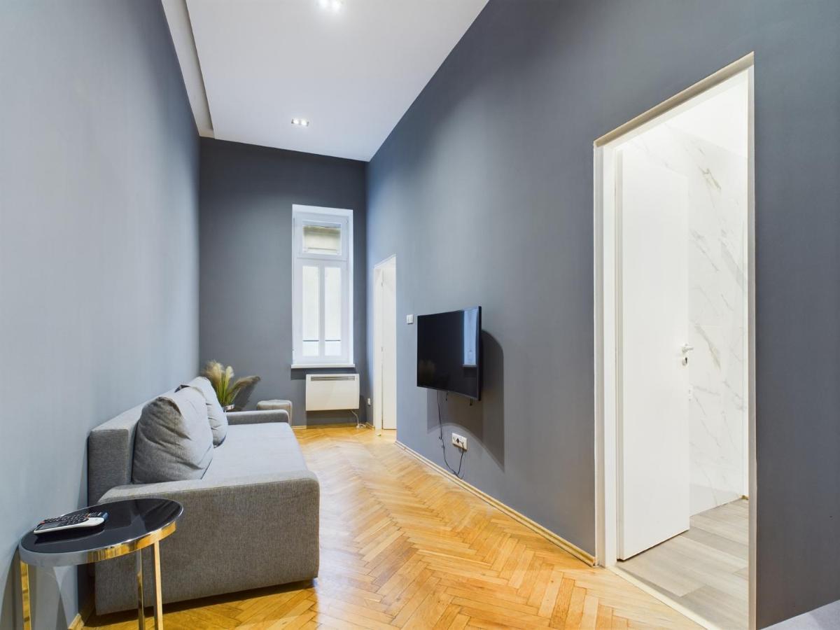Gray Stylish Central Apartment Budapest Extérieur photo
